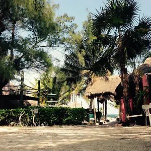 https://acamaya-reef-cabanas.quintano-roohotels.com